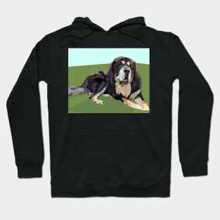 Tibetan Mastiff Big Fluffy Dog Hoodie